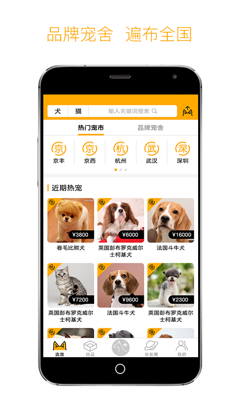 羋糕寵物