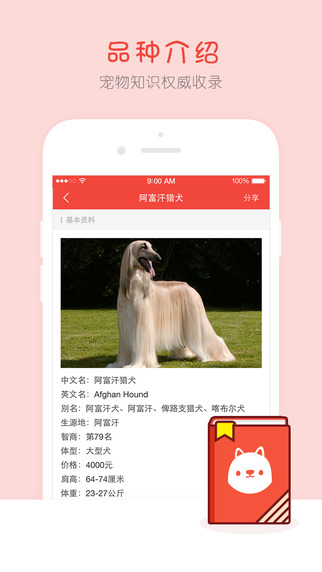 寵物百科