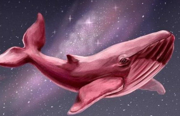 粉鯨游戲