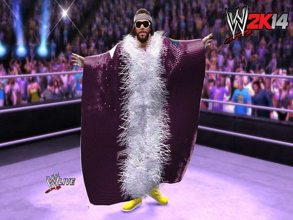 WWE2K14手機版