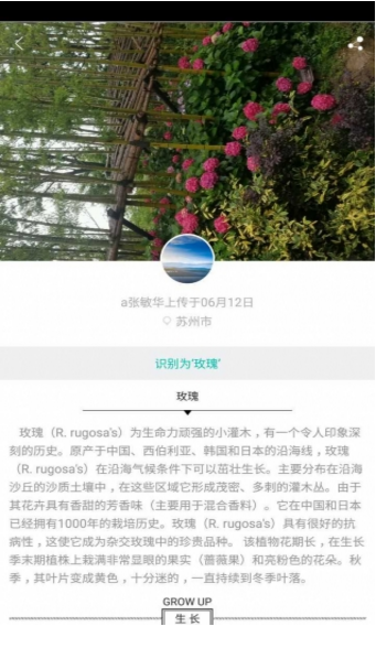 拈花惹草