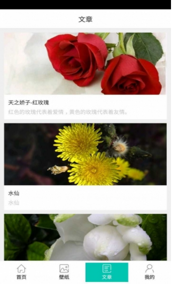 拈花惹草