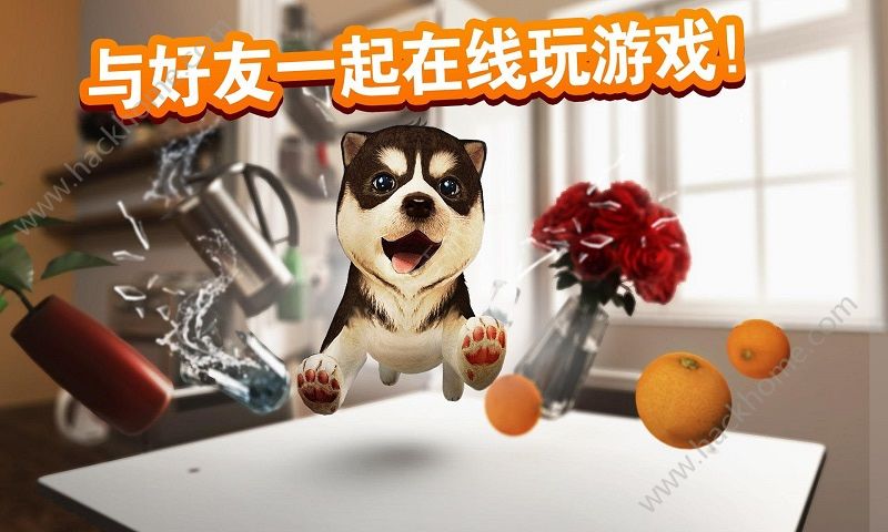 狗子你變了