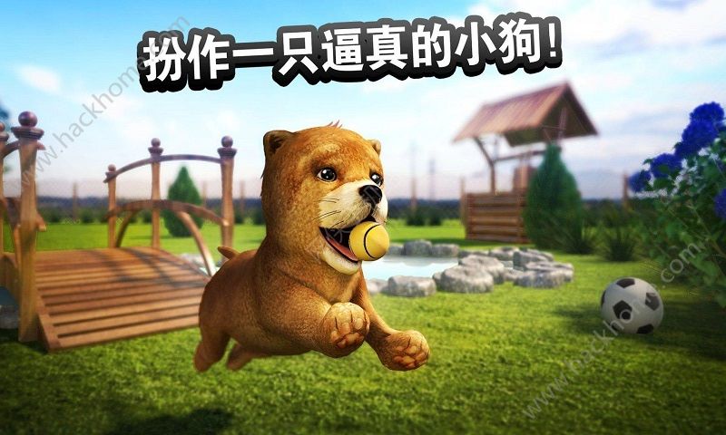 狗子你變了