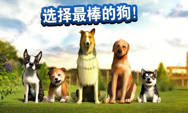 狗子你變了