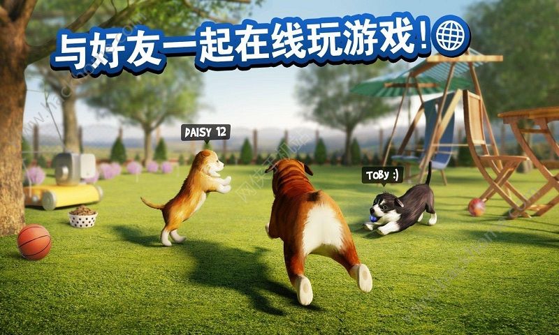 狗子你變了