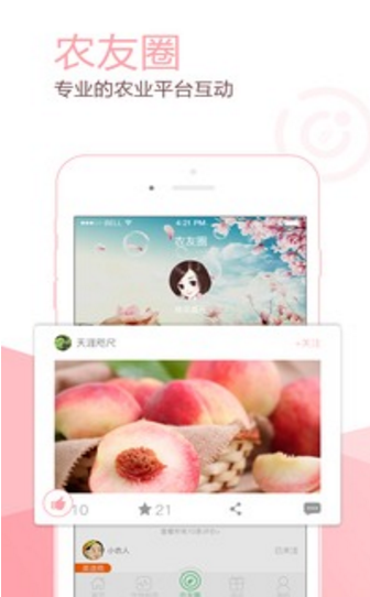 智農(nóng)豐