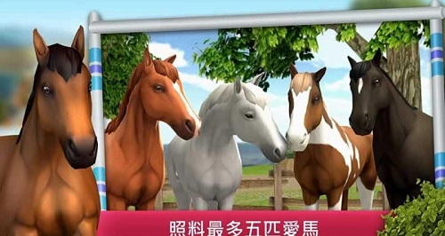 馬的世界跨欄比賽