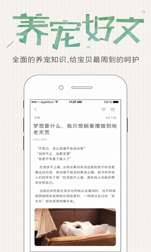 星寵有伴