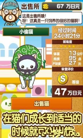 貓咖啡店