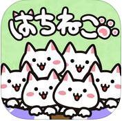 猫咪花盆