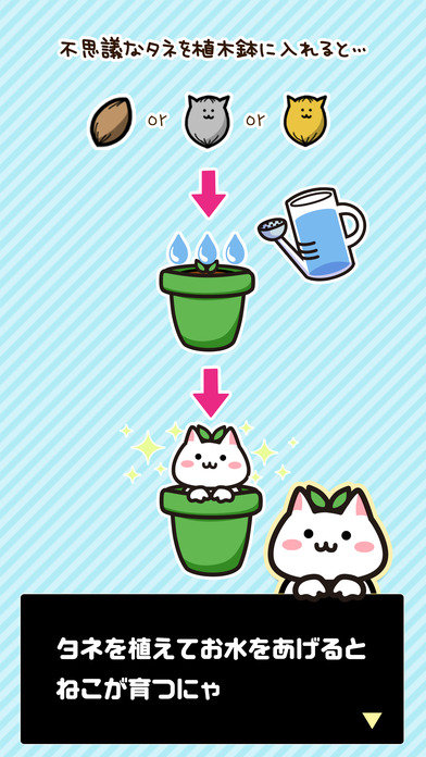 貓咪花盆