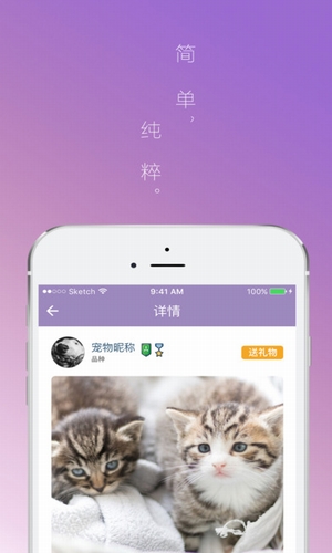 肆分寵