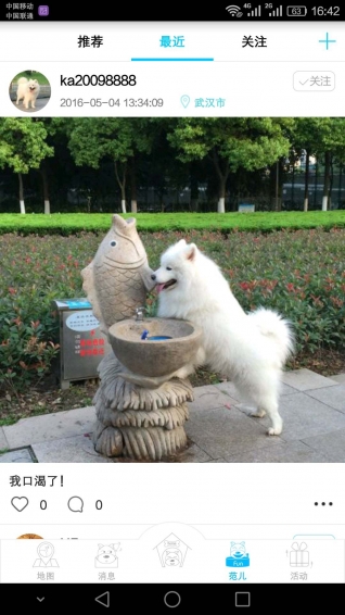 小玄寵物