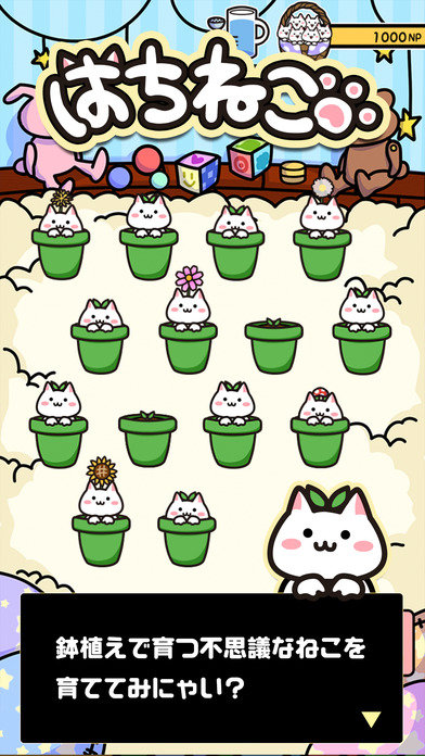 貓咪花盆