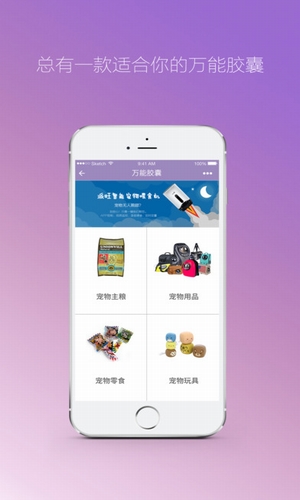肆分寵