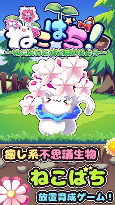貓咪盆栽