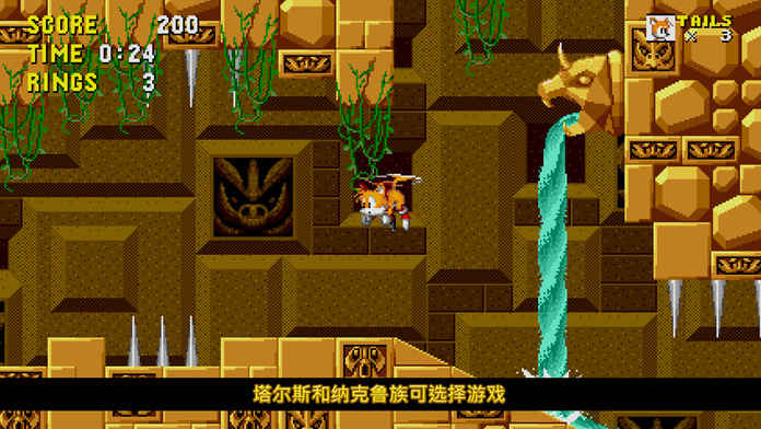 刺猬索尼克21周年紀(jì)念版