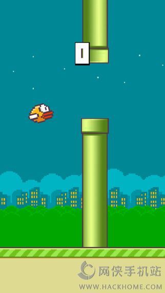 崩潰鳥
