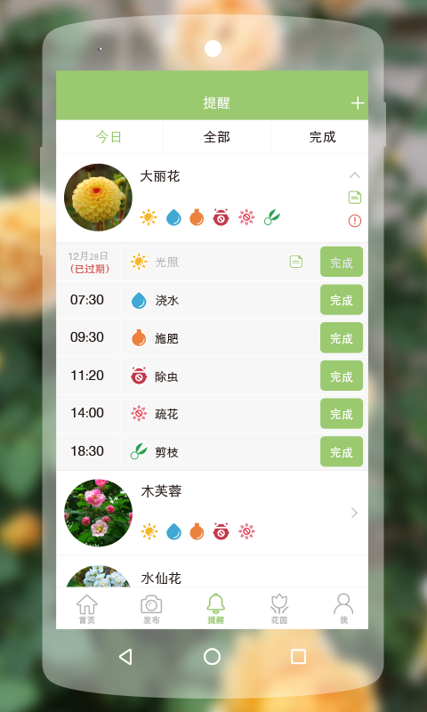 綠手指