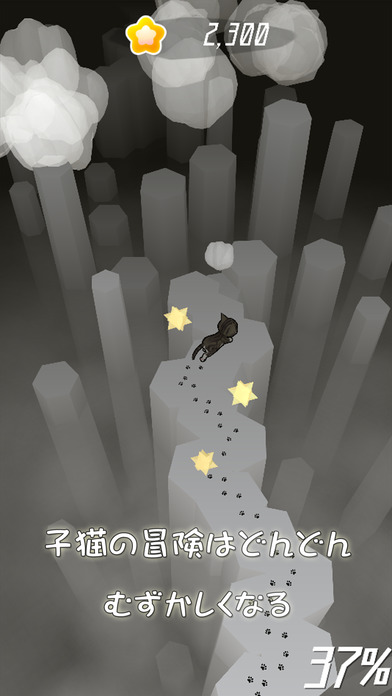 小貓咪回家記