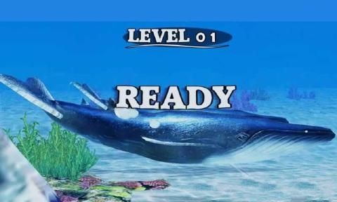 海底大逃亡