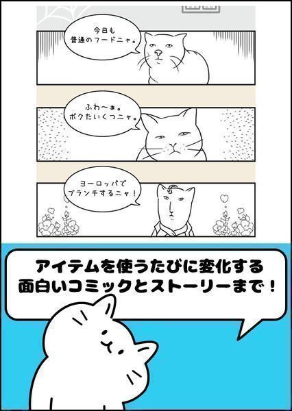 毛团猫太郎