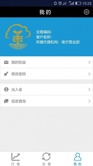 金榕樹(shù)