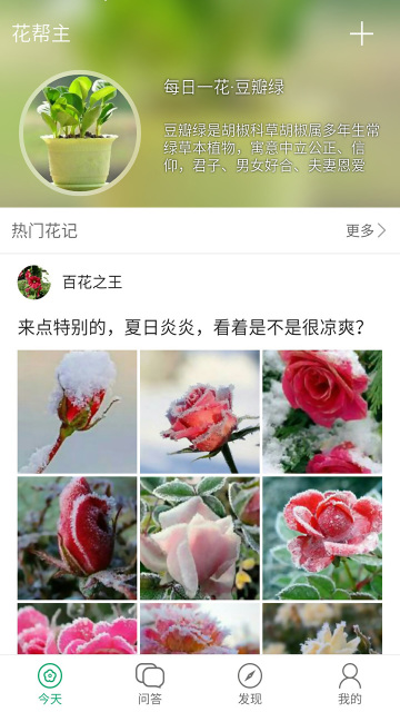 花幫主