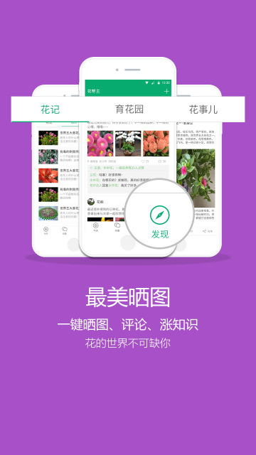 花幫主