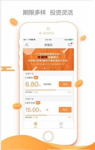 胖貓寶