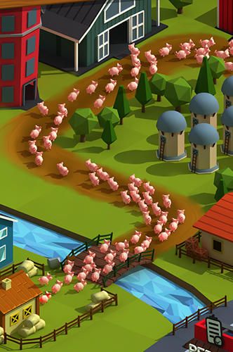 Tiny Pig