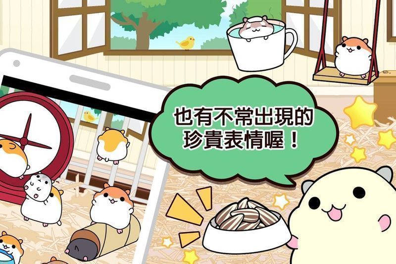 倉(cāng)鼠收藏