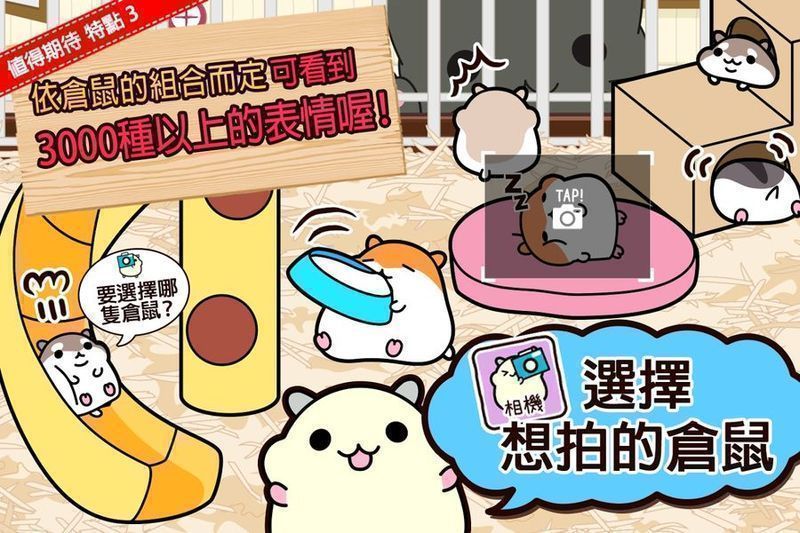 倉(cāng)鼠收藏