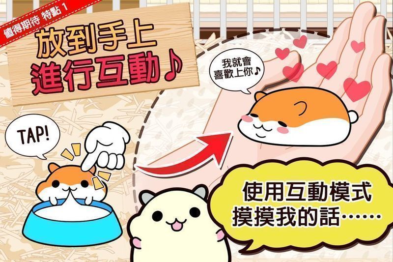 倉(cāng)鼠收藏