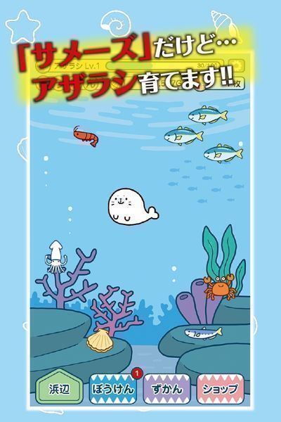 鯊魚仔