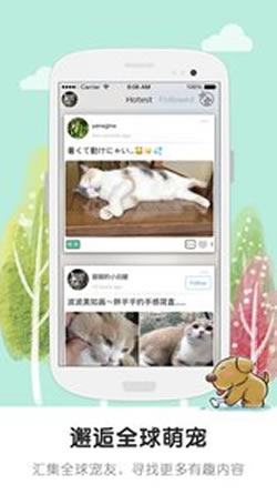 寵書