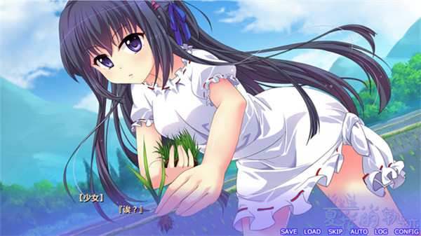夏花的軌跡