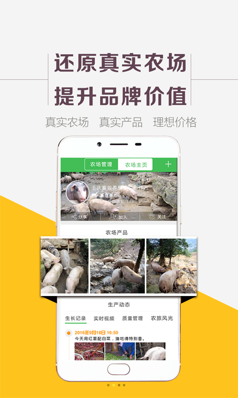 為米老鄉(xiāng)
