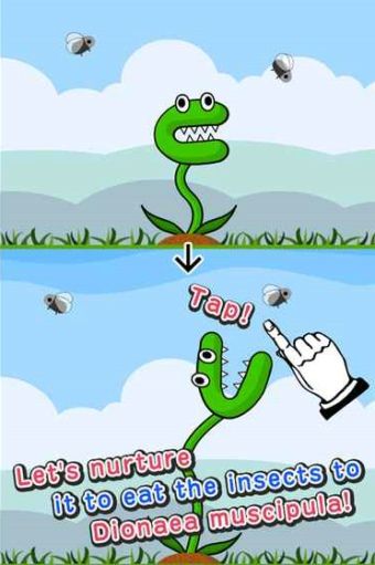 捕蠅草