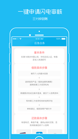 應(yīng)急白條