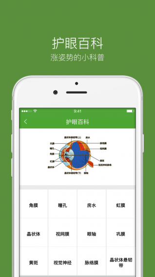 护眼大师