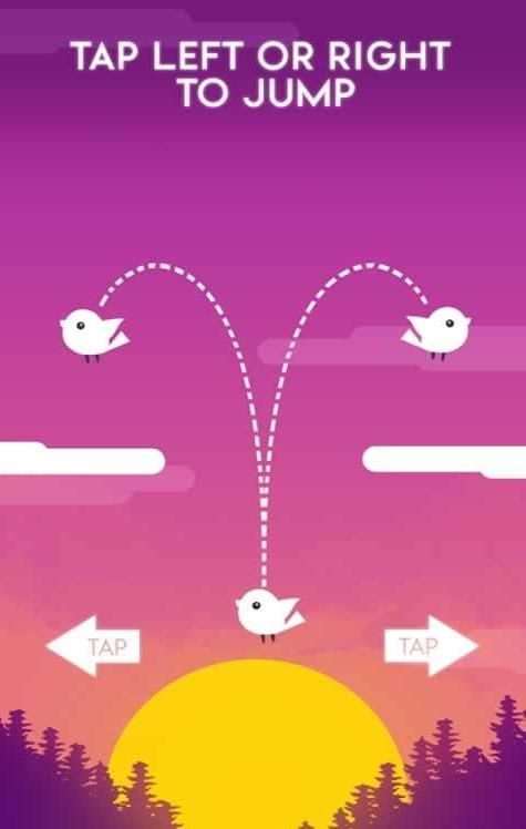 光之鳥(niǎo)