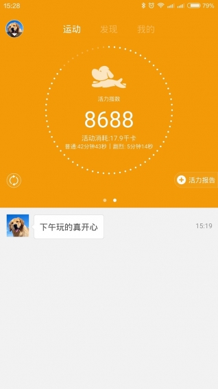 鈕扣寵物