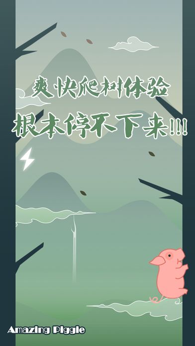母豬會上樹