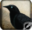 記憶之鴉 手機版