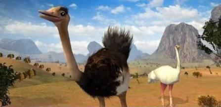 3D鴕鳥模擬
