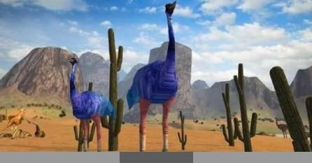 3D鴕鳥模擬