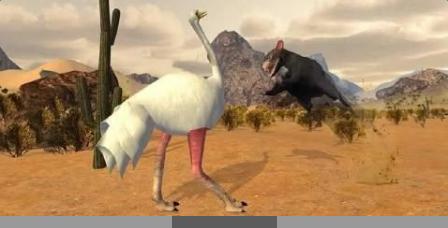 3D鴕鳥模擬
