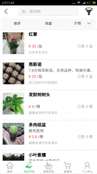 花卉貓